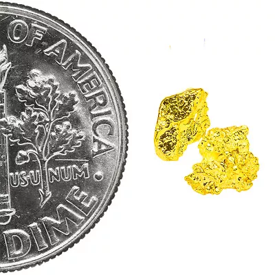 0.2915 Gram Alaska Natural Gold Nuggets - (#77420) - 2pcs Alaskan Gold Nuggets • $0.01