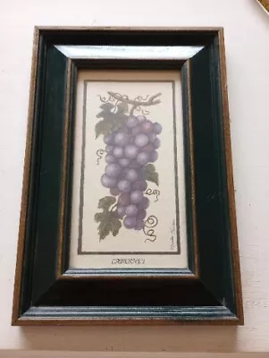 Martha HINSON Wine Grapes Cabernet 8.75  X 12.5  Framed Glass PRINT - PIER ONE • $12