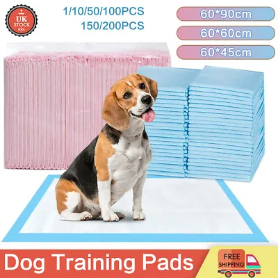 £7.95 • Buy 50/100/200 Absorbent Large Puppy Training Pads Pet Toilet Pee Wee Mat 60x90cm Uk