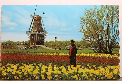 Michigan MI Holland De Zwaan The Swan Windmill Postcard Old Vintage Card View PC • $0.50