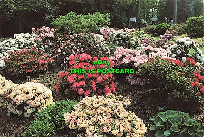 £5.75 • Buy L207274 Battleston Hill. Burgess. Royal Horticultural Society