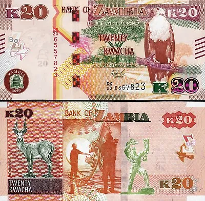 $4.65 • Buy Zambia 20 Kwacha 2020 (2021), UNC, P-New Date