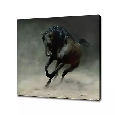 Black Arabian Horse Canvas Art Print Picture Wall Hanging Handmade Home Decor • £25