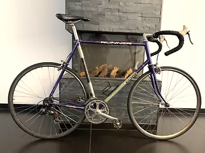 Giant Vintage Steel Road Bike 62cm • $335