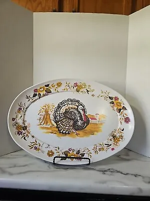 Large Apollo Ware Melmac Turkey Tray / Platter 21  X 14 1/4  • $18