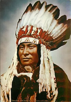Hunkpapa Sioux Chief Rain-in-the-Face LA Huffman Native American Postcard • $4.99