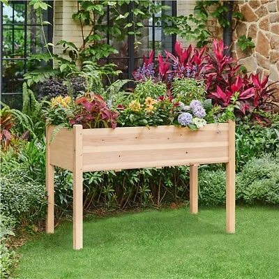 Outdoor Raised Garden Bed With Legs Vegetable Elevated Planter Box Herb Garden • $82.99