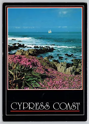 Cypress Coast Springtime Pacific Grove California CA Continental Chrome Postcard • $5.32