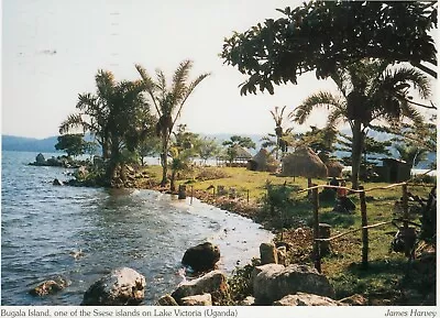 Bugala Island Ssese Islands Lake Victoria Uganda (Teso Development Trust) • £3.99