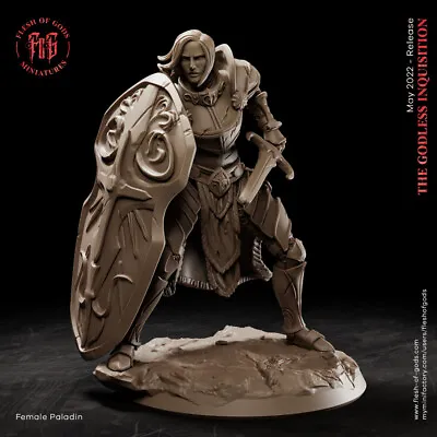 Female Paladin Knight Fighter Resin Miniature 28mm 32mm Dungeon Dragons D&D RPG • $11.99