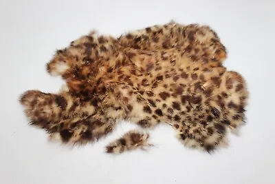 Genuine Naturally Rabbit? Fur Skin 16  Ocelot Bobcat Leather Hides Pelts Cat? • $14.06