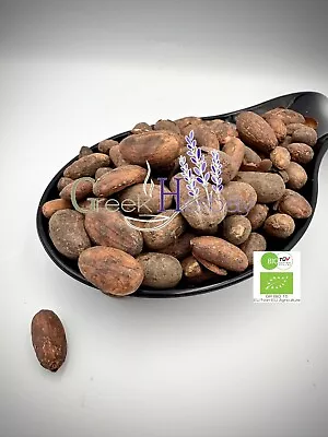 Organic Raw Criollo Whole Cacao Beans 20g(0.70oz)4.9kg(10.80lb) Theobroma Cacao • £9