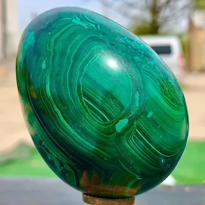 344G Natural Malachite Egg Quartzcrystal Energy Ball Reiki Healing • $246