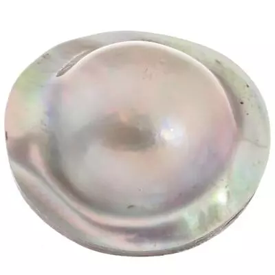 Mabe Blister Pearl In Mother Of Pearl Shell Undrilled Bead Cabochon Pearl 7/8  • $14.95