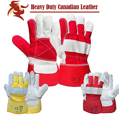 Canadian Double Palm Rigger Work Gloves Heavy Duty Leather Safety Gauntlet XL • £2.89