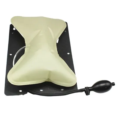 $31.40 • Buy Car Seat Built-in Air Pressure Lumbar Support Cushion Comfortable Hand Pump Pad