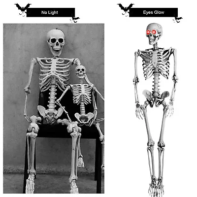 3ft/5.6ft Halloween Skeleton Poseable Full Life Size Bones Haunted House Decor • $65.89
