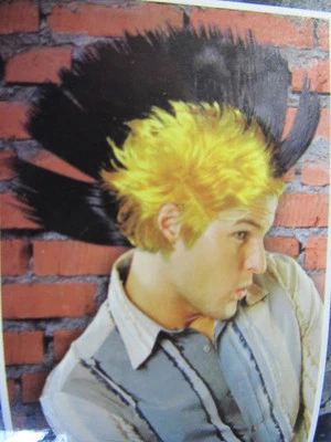 $15.49 • Buy 5 Inch High Black Gold Mohawk Costume Fun Fashion Wig 