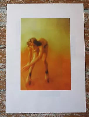 Ryan McGinley POINTE D'IRONIE 49 AGNES B Limited Edition Softcover 2009 Moonmilk • $69.99