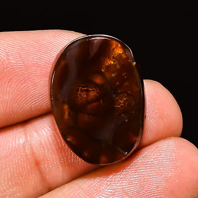 Natural MEXICAN FIRE AGATE Free Form Gemstone Jewelry 17.75 CT 15x20x5 Mm Cd_183 • $60.58