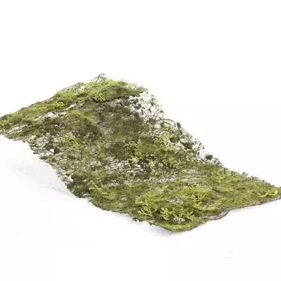 Package Of 2 Artificial Moss Grassy 10  X 18  Sheets • $21.98