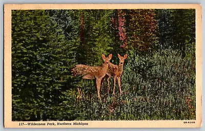 Northern Michigan - Wilderness Park - Capturing Deer - Vintage Postcard - Posted • $4.67