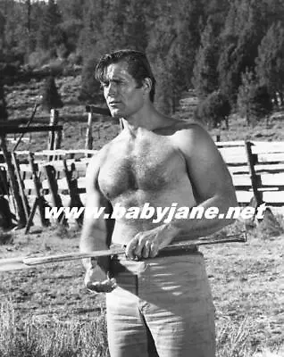 $14.99 • Buy 054 Clint Walker Sexy Barechested Night Of The Grizzly Beefcake Photo