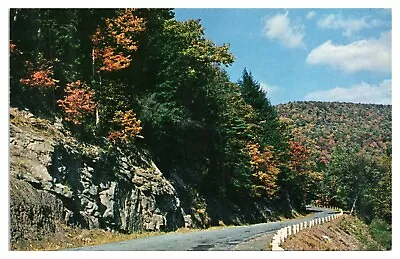 Vintage Wallis Run Road Postcard Williamsport Montoursville PA Unused Chrome • $4.65