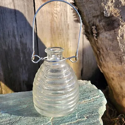 Vintage Bee Fly Wasp Trap Catcher Hive Shaped- Clear • $22