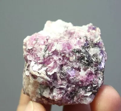 Natural Lepidolite Lithium Purple Mica Quartz Crystal Cluster Mineral Specimen • $0.99