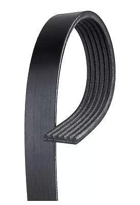 Serpentine Belt-Premium OE Micro-V Belt Gates K060365 • $12