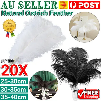 Black White Ostrich Feather DIY Crafts Feathers Wedding Party Decoration Bulks • $10.45