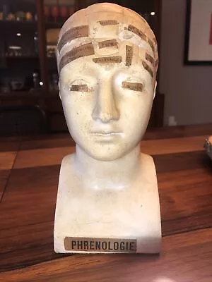 Rare Antique 19th Century M. Boudet Of Paris Plaster Medical Phrenology Head  • $1995