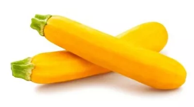 Vegetable Plants - Courgette 'Goldrush' - 12 X Plug Plant Pack • £18.95