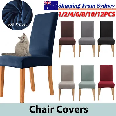 $9.99 • Buy 12pcs Dining Room Velvet Chair Cover Slipcover Stretch Seat Protector Home Hotel