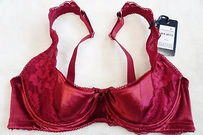 Fox And Royal CITY CHIC PLUS SIZE 12C-D Sylvie Bra Velvet Sexy Lingerie 1/4 Cup • $32.99