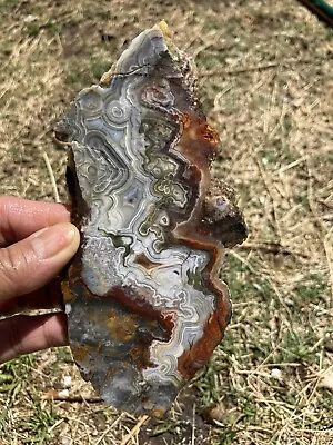 Crazy Lace Agate Slab (Mexico) • $12