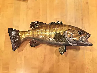 21   SMALLMOUTH BASS  -   Unpainted Fiberglass Reproduction Blank • $65