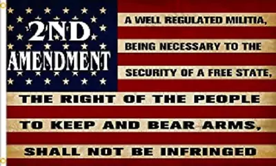 3x5 2nd Amendment A Well Regulated Militia Shall Not Be Infringed Flag Banner • $9.88