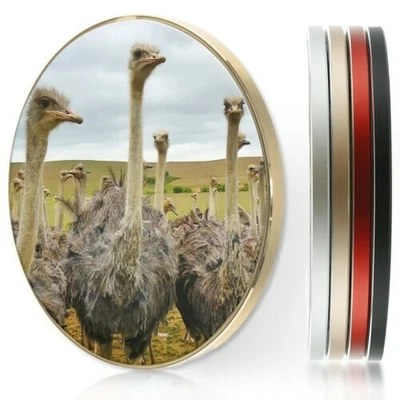 $40.81 • Buy QI Wireless Charger For Apple Iphone 11/XS/8/Samsung S10/S9/S8/S7 - Ostrich Bird