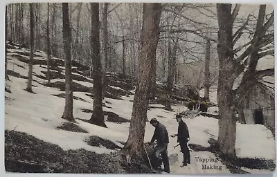Vintage Tapping Sugar Place Making Maple Syrup Vermont Postcard Divided Back • $5.65