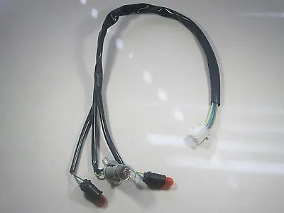 X-19 AKA FS 549 110cc Pocket Bike Rear Light Wire Harness With Light Bulbs Set  • $18.99