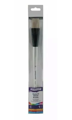 Daler-Rowney Graduate Acrylic/Oil Brushes Synthetic & Natural Hair Size 14 • £12.59