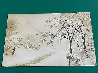 People's Park Halifax Postcard C.1906 Winter Scene • £6