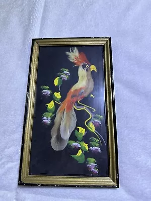 Vintage Mexico Aztec Feather Craft Hand Painted Art Bird Picture Wood Frame • $40