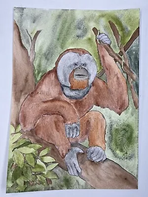 Orangutan Watercolor Painting In Jungle 10x7” Animal Original Art • $34.32