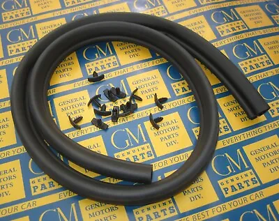 1968-1972 GM A Body | Hood To Cowl Weatherstrip Seal W/ Clips | New Made In USA • $19.50