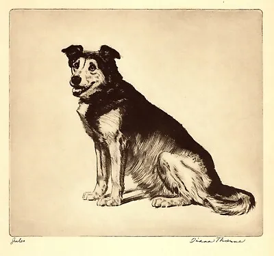 Antique German Shepherd Print Vintage Diana Thorne Shepherd Wall Art Decor 5098k • $17.55