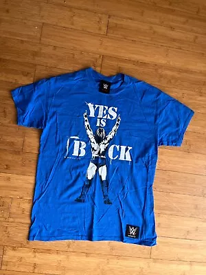 Authentic Wear Wwe Daniel Bryan - Yes Is Back Wrestling T-shirt Blue Large L • £11.99