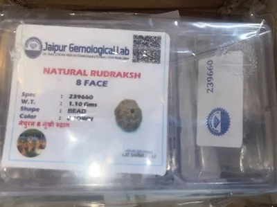 Certified Rudraksha Beads Six Face 5 Mukhi With Certificate Pure Original~I-5314 • $9.50